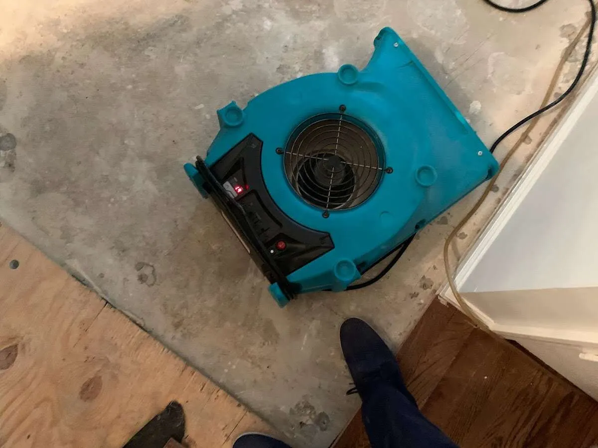 Air mover drying subfloor during Commercial Water Damage Restoration in Elk Plain